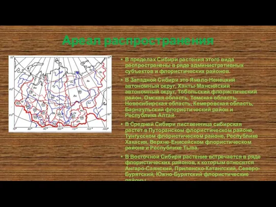 Ареал распространения В пределах Сибири растения этого вида распространены в ряде административных