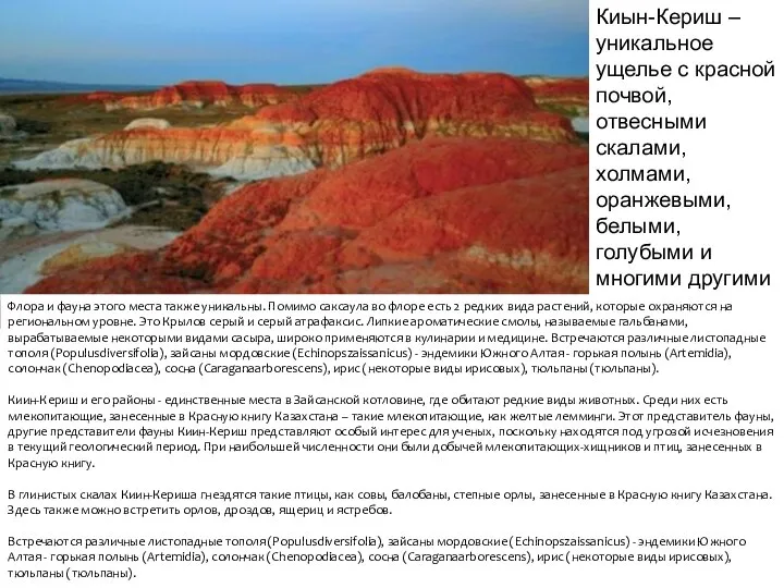 Киын-Кериш – уникальное ущелье с красной почвой, отвесными скалами, холмами, оранжевыми, белыми,