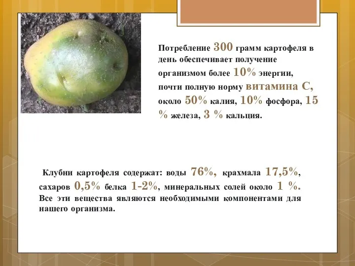 Клубни картофеля содержат: воды 76%, крахмала 17,5%, сахаров 0,5% белка 1-2%, минеральных