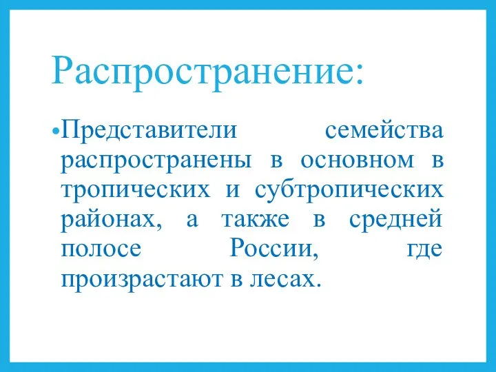 Распространение: Представители семейства распространены в основном в тропических и субтропических районах, а