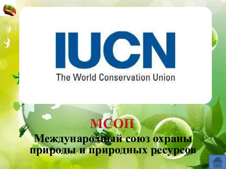 МСОП Международный союз охраны природы и природных ресурсов