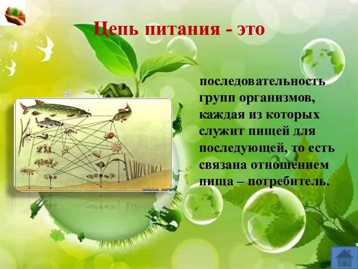 Цепь питания - это последовательность групп организмов, каждая из которых служит пищей