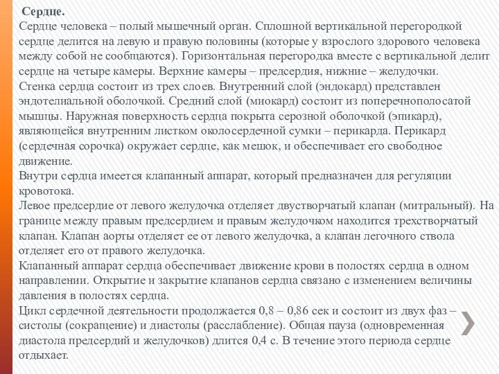 Сердце. Сердце человека – полый мышечный орган. Сплошной вертикальной перегородкой сердце делится