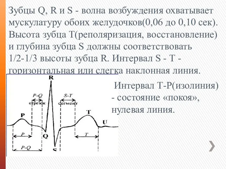 Зубцы Q, R и S - волна возбуждения охватывает мускулатуру обоих желудочков(0,06