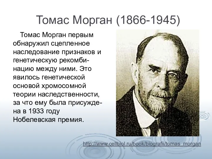 Томас Морган (1866-1945) Томас Морган первым обнаружил сцепленное наследование признаков и генетическую