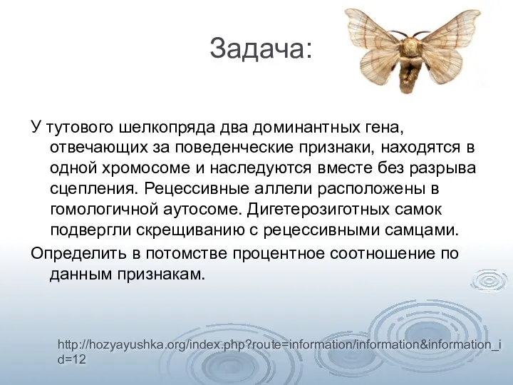 Задача: У тутового шелкопряда два доминантных гена, отвечающих за поведенческие признаки, находятся