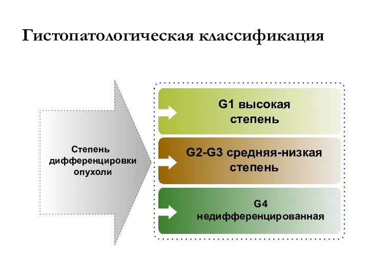 Гистопатологическая классификация