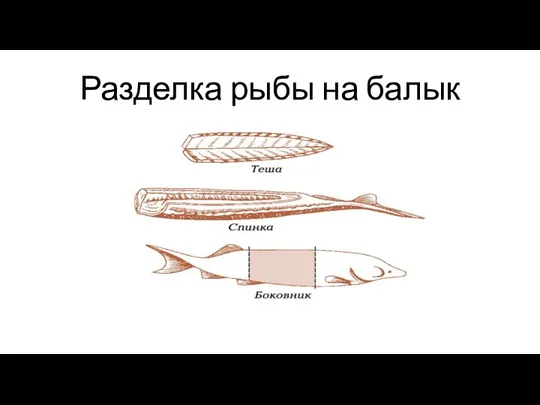 Разделка рыбы на балык