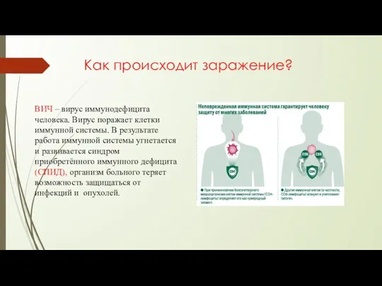 Как происходит заражение? ВИЧ – вирус иммунодефицита человека. Вирус поражает клетки иммунной