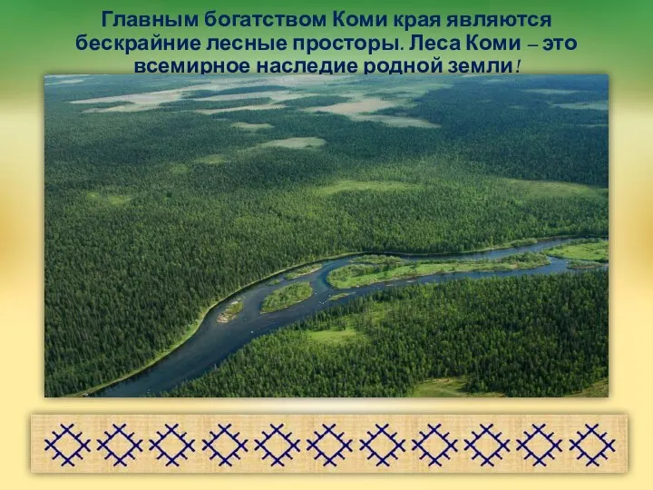 Главным богатством Коми края являются бескрайние лесные просторы. Леса Коми – это всемирное наследие родной земли!