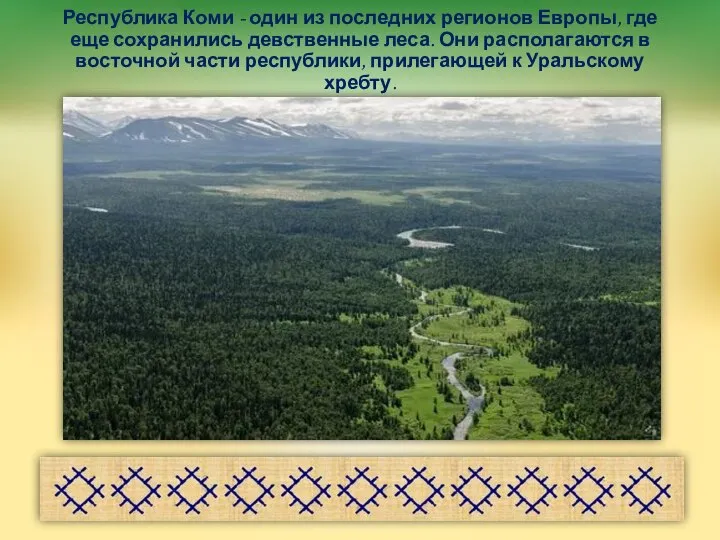 Республика Коми - один из последних регионов Европы, где еще сохранились девственные