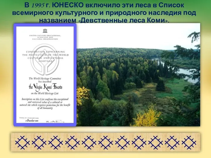 В 1995 г. ЮНЕСКО включило эти леса в Список всемирного культурного и