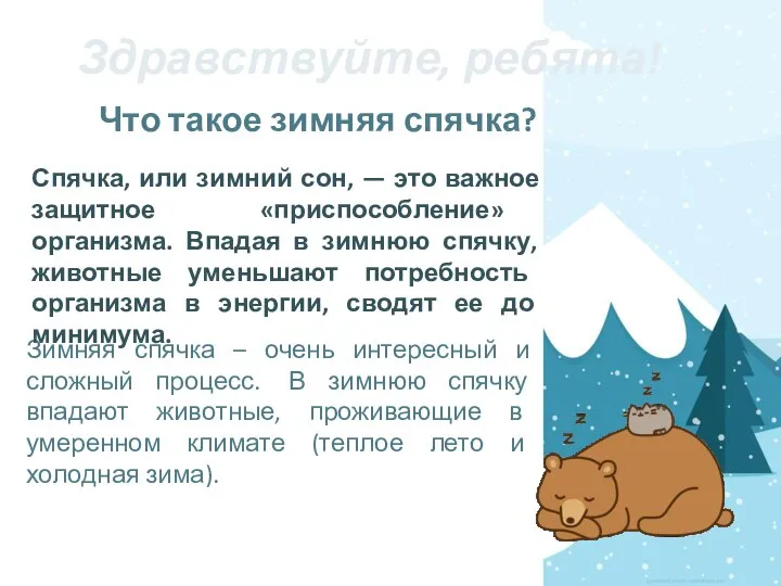 Что такое зимняя спячка? Зимняя спячка – очень интересный и сложный процесс.