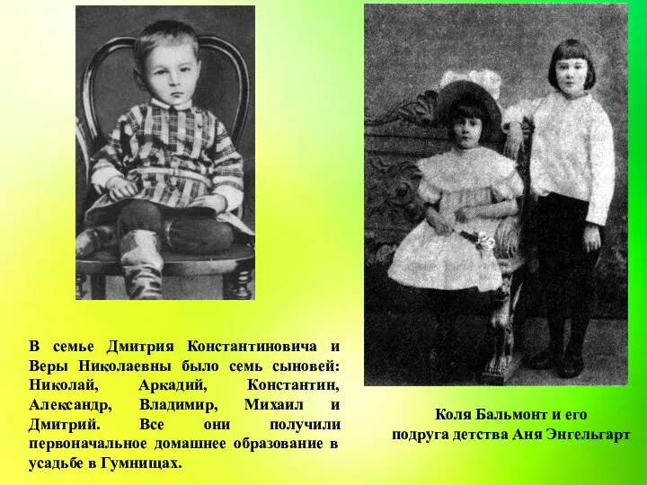 В семье Дмитрия Константиновича и Веры Николаевны было семь сыновей: Николай, Аркадий,