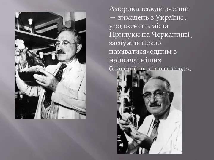 Американський вчений — виходець з України , уродженець міста Прилуки на Черкащині