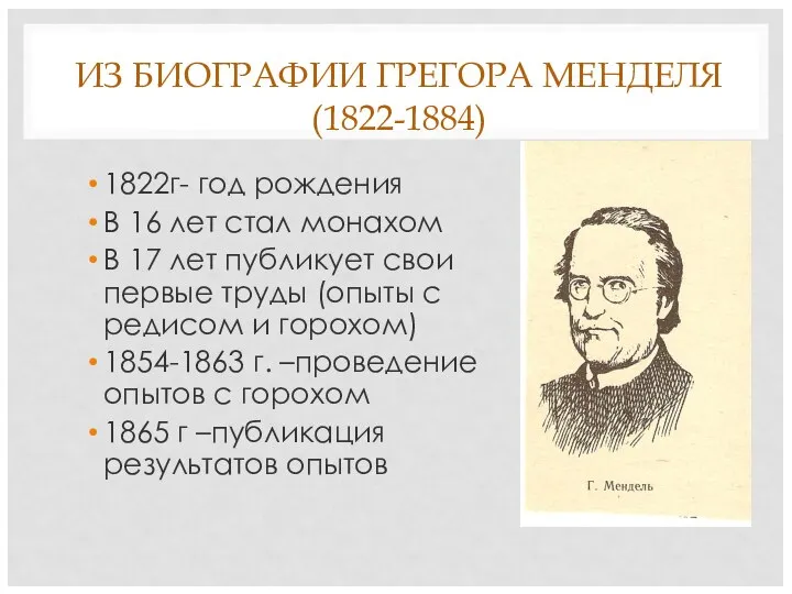 ИЗ БИОГРАФИИ ГРЕГОРА МЕНДЕЛЯ (1822-1884) 1822г- год рождения В 16 лет стал