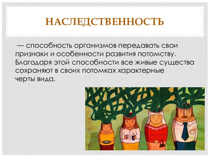 НАСЛЕДСТВЕННОСТЬ — способность организмов передавать свои признаки и особенности развития потомству. Благодаря