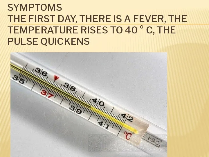 SYMPTOMS THE FIRST DAY, THERE IS A FEVER, THE TEMPERATURE RISES TO