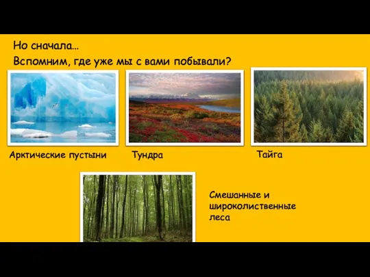 Но сначала… Вспомним, где уже мы с вами побывали? Арктические пустыни Тундра