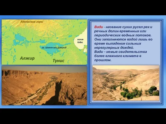 Вади - название сухих русел рек и речных долин временных или периодических