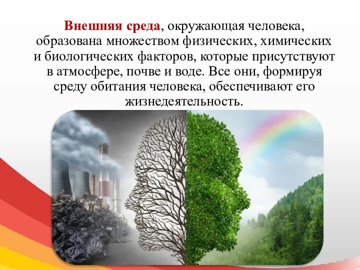 Внешняя среда, окружающая человека, образована множеством физических, химических и биологических факторов, которые