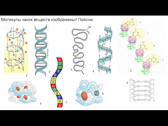 Молекулы каких веществ изображены? Поясни. 1 8 5 4 3 2 7 6 9