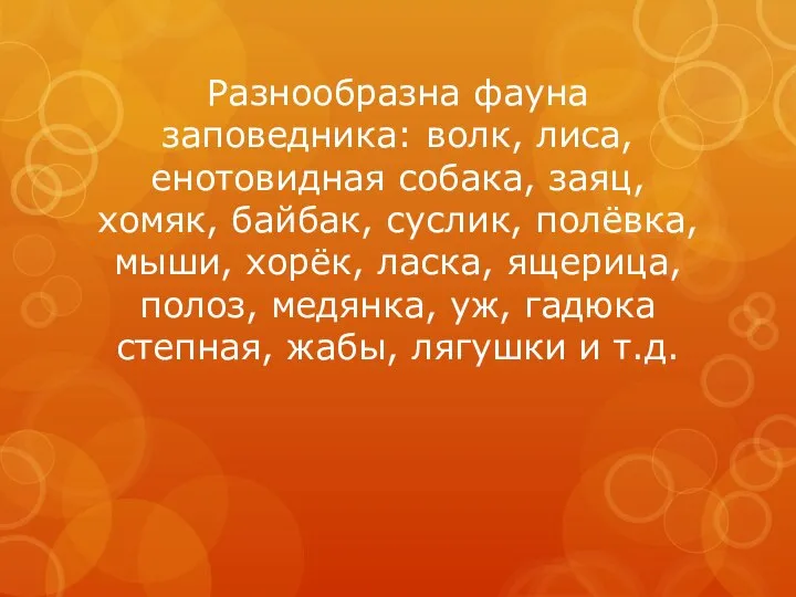 Разнообразна фауна заповедника: волк, лиса, енотовидная собака, заяц, хомяк, байбак, суслик, полёвка,