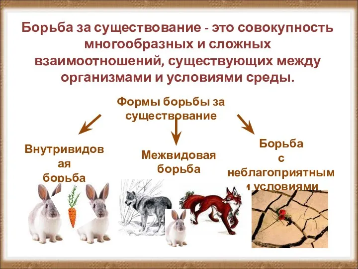 Формы борьбы за существование Внутривидовая борьба Межвидовая борьба Борьба с неблагоприятными условиями