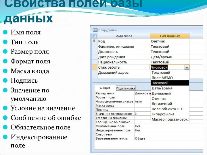 Свойства полей базы данных Имя поля Тип поля Размер поля Формат поля