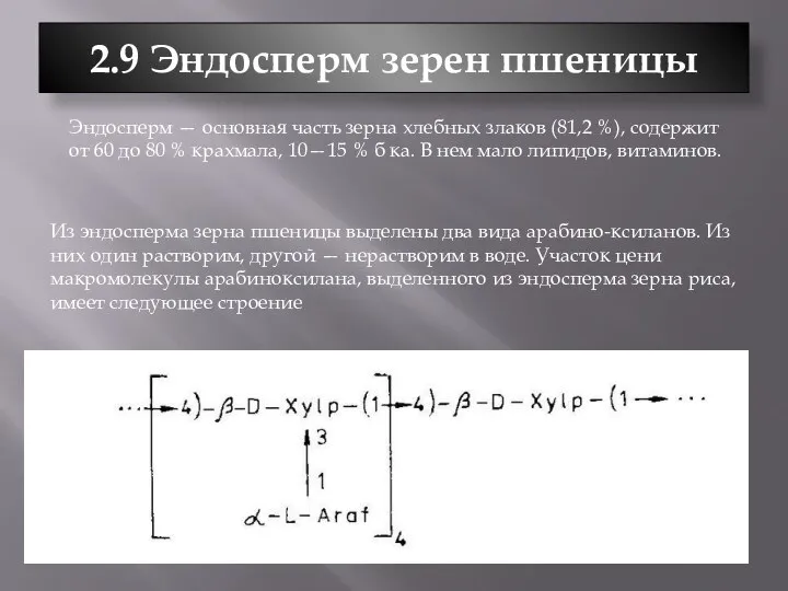 2.9 Эндосперм зерен пшеницы Эндосперм — основная часть зерна хлебных злаков (81,2