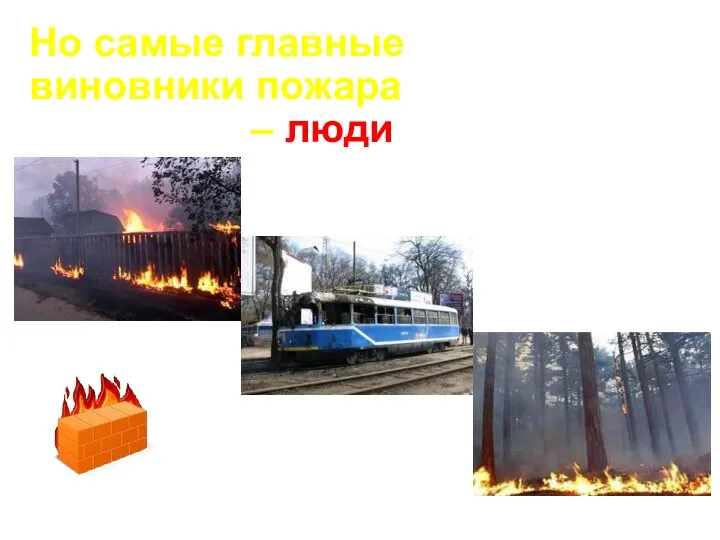 Но самые главные виновники пожара – люди