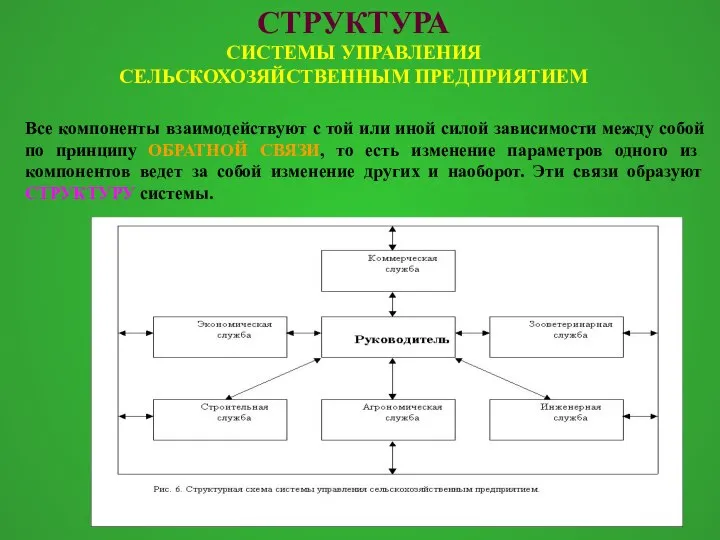 СТРУКТУРА СИСТЕМЫ УПРАВЛЕНИЯ СЕЛЬСКОХОЗЯЙСТВЕННЫМ ПРЕДПРИЯТИЕМ Все компоненты взаимодействуют с той или иной