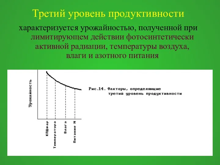 Третий уровень продуктивности характеризуется урожайностью, полученной при лимитирующем действии фотосинтетически активной радиации,