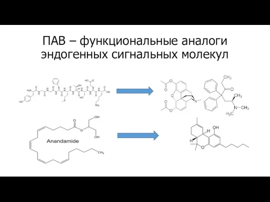 ПАВ – функциональные аналоги эндогенных сигнальных молекул