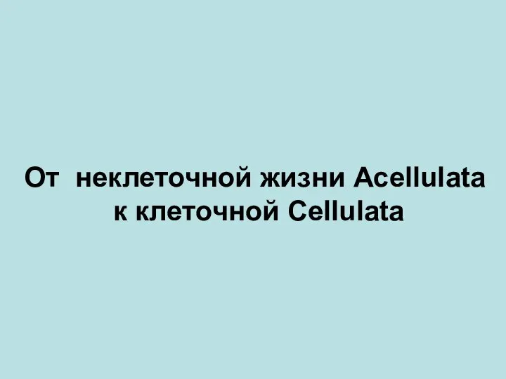 От неклеточной жизни Acellulata к клеточной Cellulata