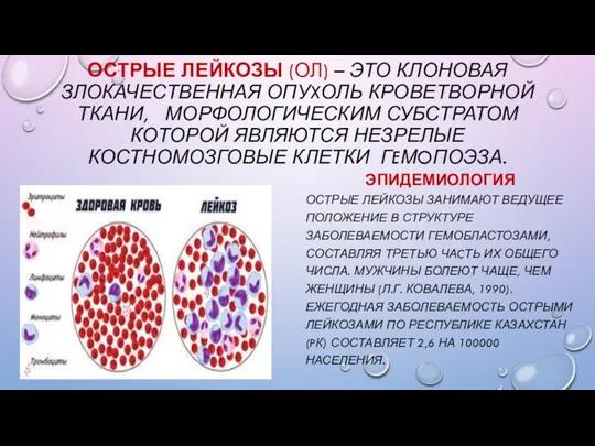 ОСТРЫЕ ЛЕЙКОЗЫ (ОЛ) – ЭТО КЛОНОВАЯ ЗЛОКАЧЕСТВЕННАЯ ОПУXОЛЬ КРОВЕТВОРНОЙ ТКАНИ, МОРФОЛОГИЧЕСКИМ СУБСТРАТОМ