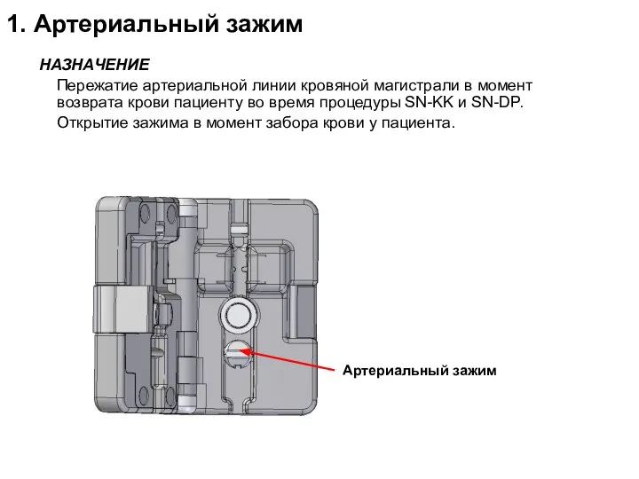 1. Артериальный зажим Артериальный зажим НАЗНАЧЕНИЕ Пережатие артериальной линии кровяной магистрали в