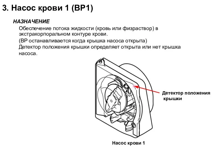 3. Насос крови 1 (BP1) НАЗНАЧЕНИЕ Обеспечение потока жидкости (кровь или физраствор)