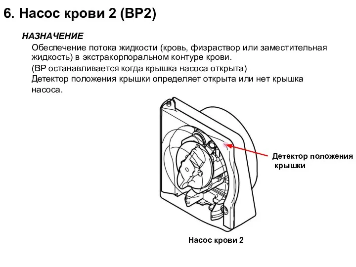6. Насос крови 2 (BP2) НАЗНАЧЕНИЕ Обеспечение потока жидкости (кровь, физраствор или