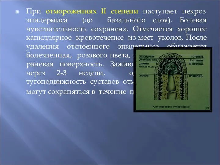 При отморожениях II степени наступает некроз эпидермиса (до базального слоя). Болевая чувствительность