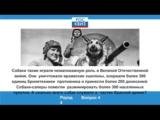 Собаки также играли немаловажную роль в Великой Отечественной войне. Они уничтожали вражеские