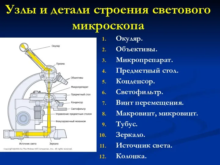 Узлы и детали строения светового микроскопа Окуляр. Объективы. Микропрепарат. Предметный стол. Конденсор.