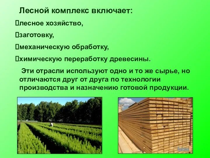 Лесной комплекс включает: лесное хозяйство, заготовку, механическую обработку, химическую переработку древесины. Эти