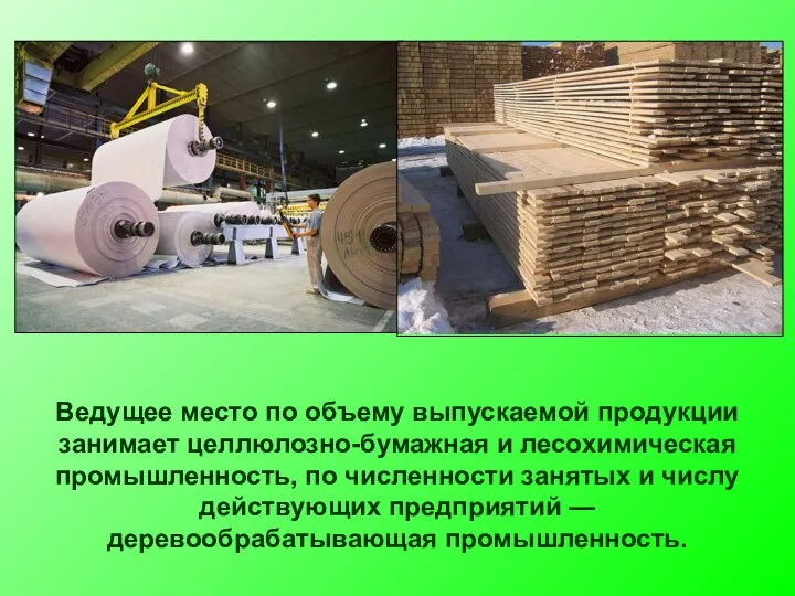 Ведущее место по объему выпускаемой продукции занимает целлюлозно-бумажная и лесохимическая промышленность, по