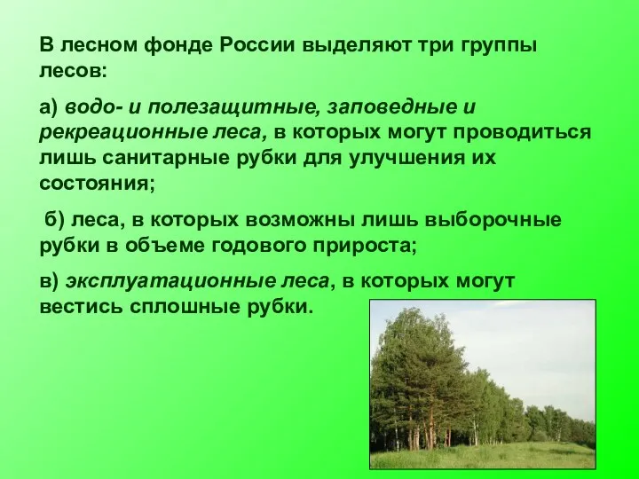 В лесном фонде России выделяют три группы лесов: а) водо- и полезащитные,
