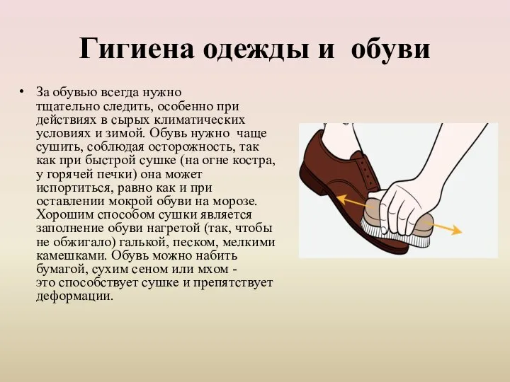 Гигиена одежды и обуви За обувью всегда нужно тщательно следить, особенно при