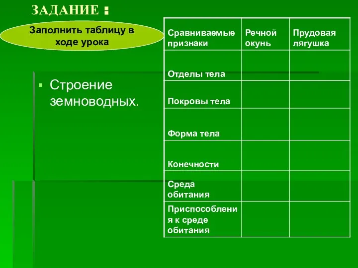 ЗАДАНИЕ : Строение земноводных. Заполнить таблицу в ходе урока