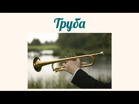 Труба