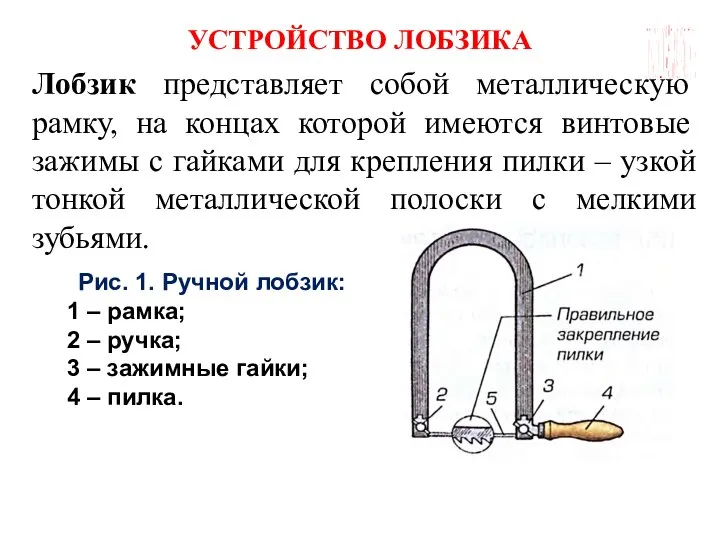 ГБОУ СОШ №45 Г. СЕВАСТОПОЛЬ УСТРОЙСТВО ЛОБЗИКА Лобзик представляет собой металлическую рамку,