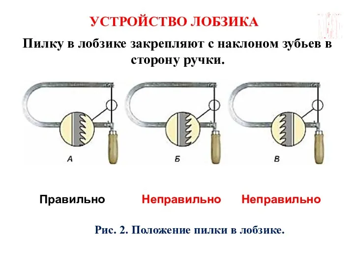 ГБОУ СОШ №45 Г. СЕВАСТОПОЛЬ УСТРОЙСТВО ЛОБЗИКА Пилку в лобзике закрепляют с